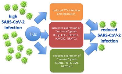 Tyrosine Kinase Inhibitors Play an Antiviral Action in Patients Affected by Chronic Myeloid Leukemia: A Possible Model Supporting Their Use in the Fight Against SARS-CoV-2